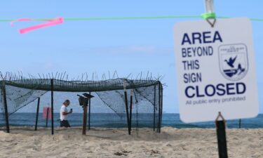 Two Orange County beaches have sections blocked from the public after a rare species of sea turtle was spotted laying and burying eggs.
