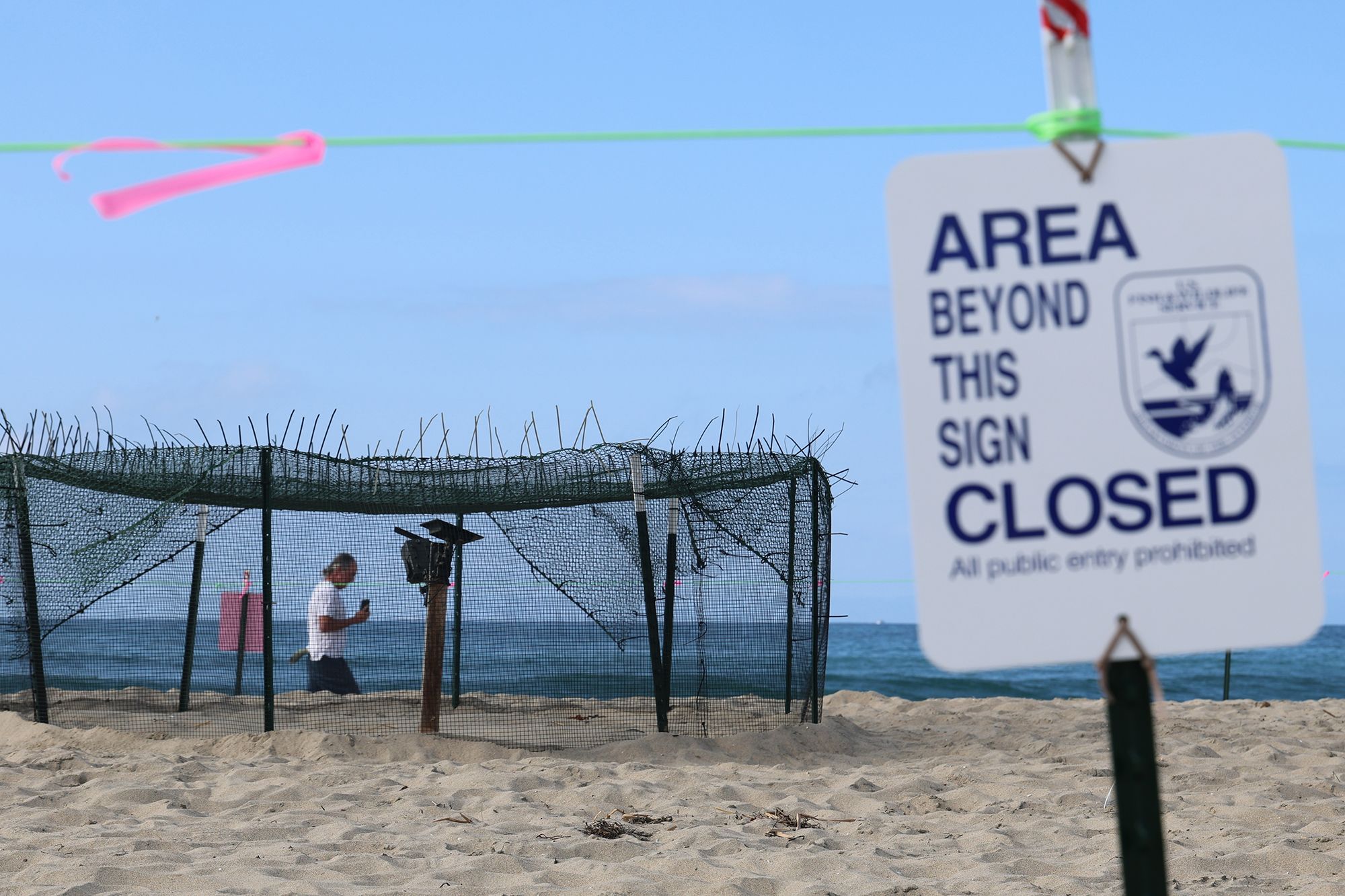 <i>Allen J. Schaben/Los Angeles Times/Getty Images via CNN Newsource</i><br/>Two Orange County beaches have sections blocked from the public after a rare species of sea turtle was spotted laying and burying eggs.