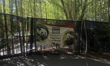 A banner at the Atlanta zoo reads "the future home of Ping Ping and Fu Shuang."