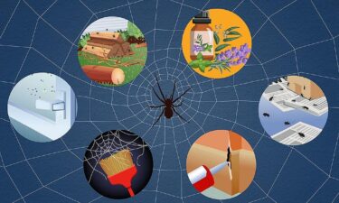 It&rsquo;s spider season in your house. Evict them with this easy arach-attack hack