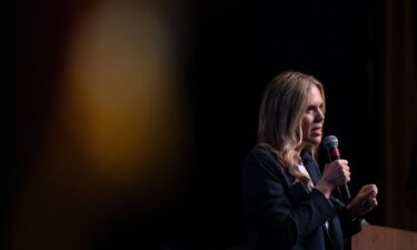 Democratic Senate candidate Annie Andrews speaks during the Spratt Issues Conference at the Francis Marion University Performing Arts Center on August 22