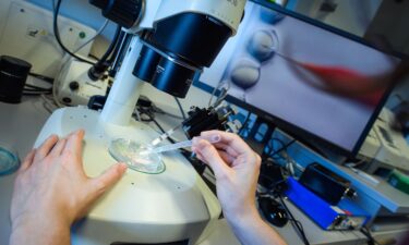 A researcher observes a CRISPR Cas-9 process through a microscope.