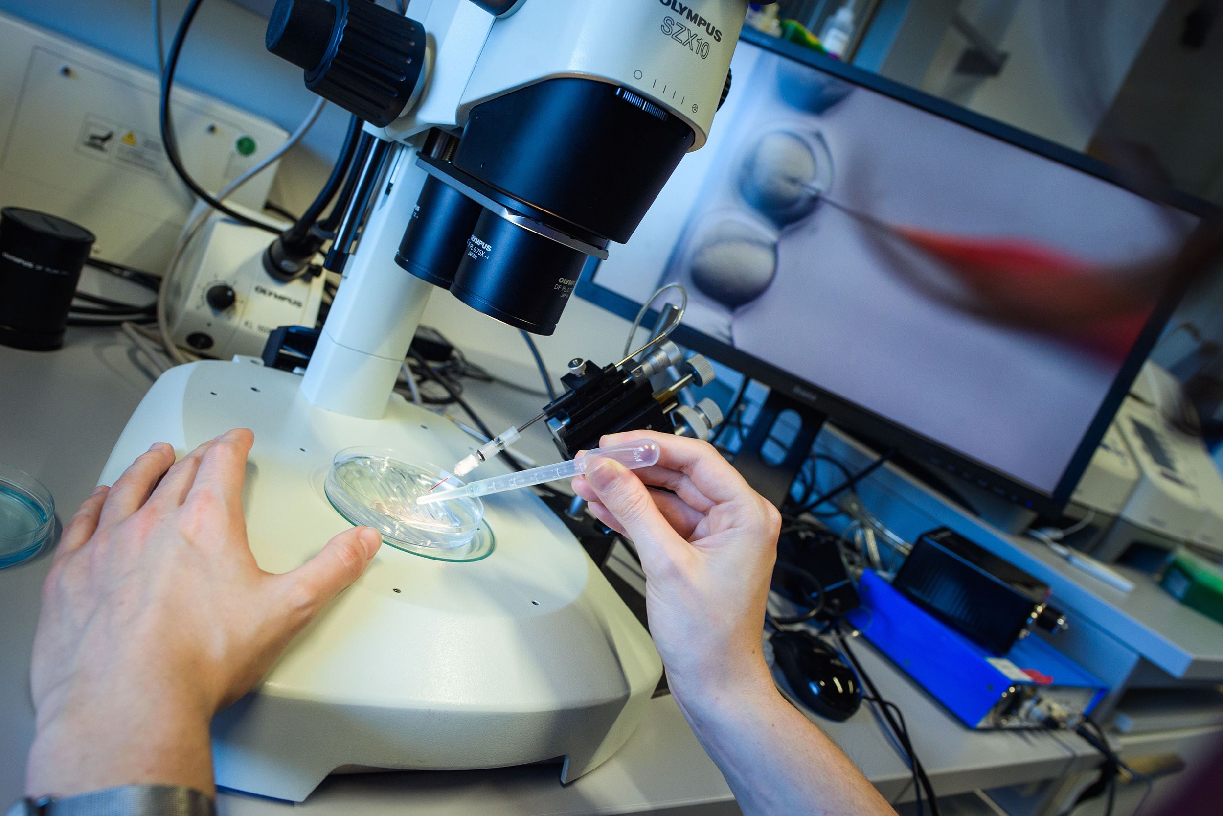 <i>Gregor Fischer/picture alliance/Getty Image via CNN Newsource</i><br/>A researcher observes a CRISPR Cas-9 process through a microscope.