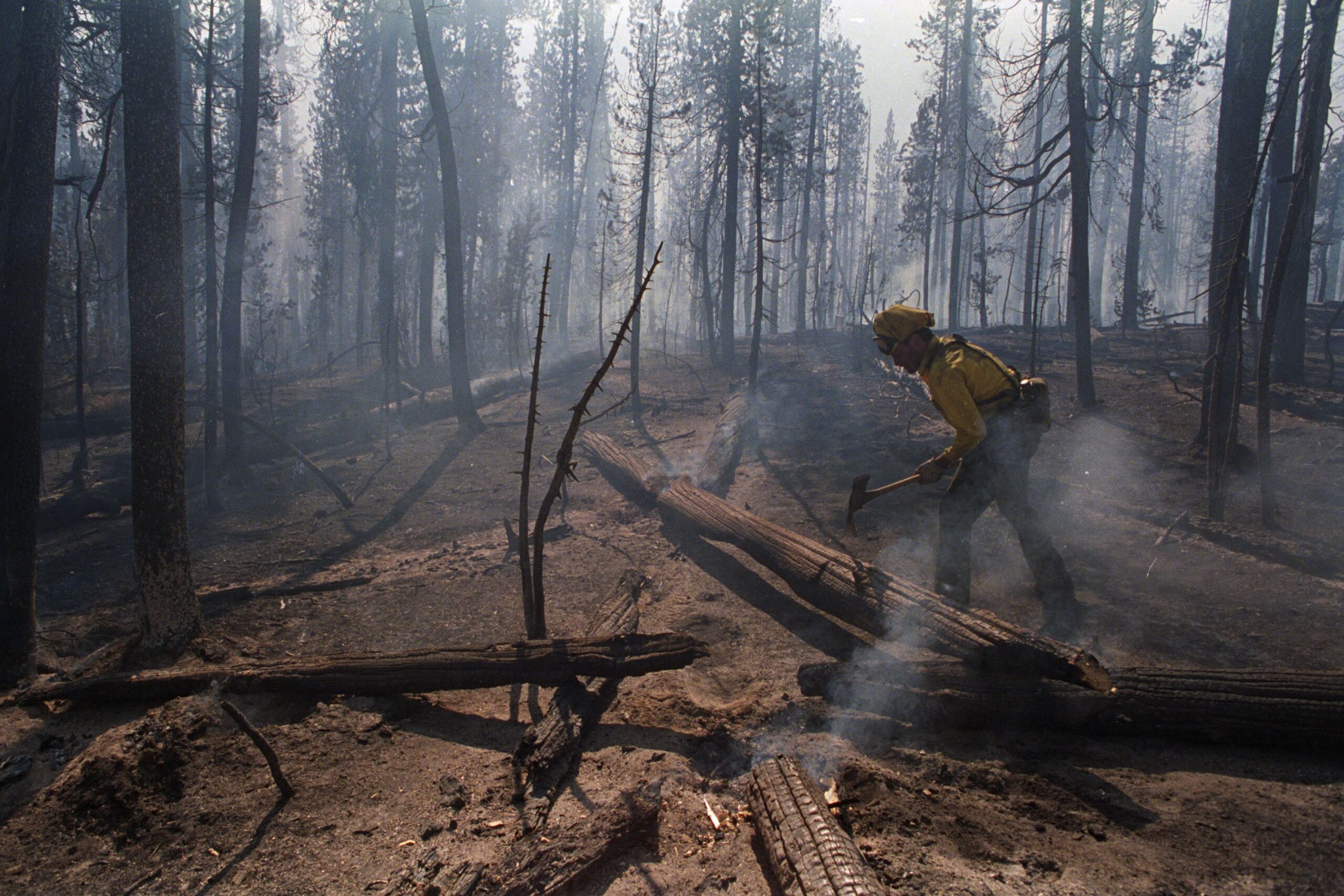 <i>Bettmann Archive/Getty Images via CNN Newsource</i><br/>Kim Desiato