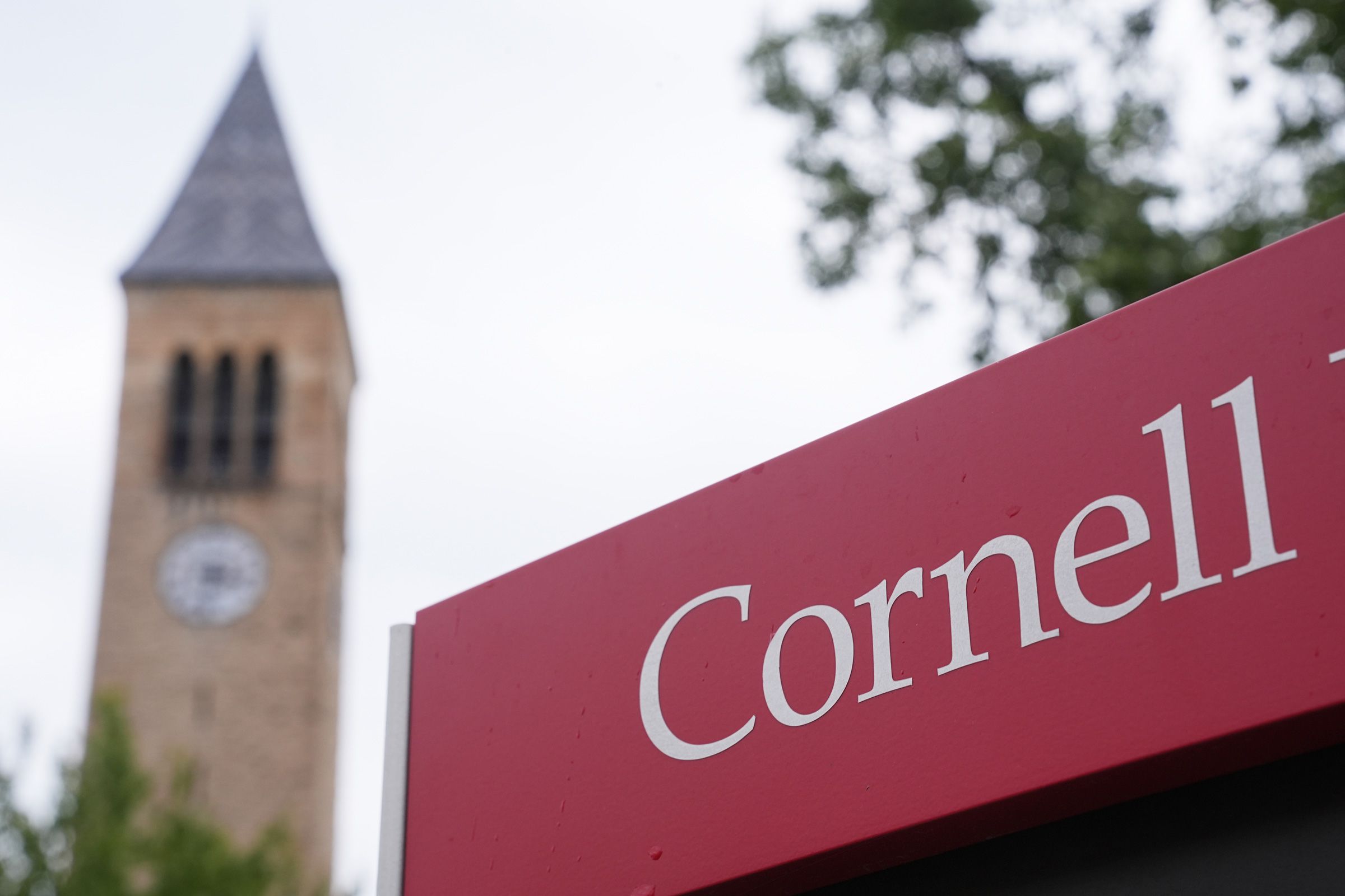 <i>Matt Rourke/AP via CNN Newsource</i><br/>A sign at Cornell University in Ithaca