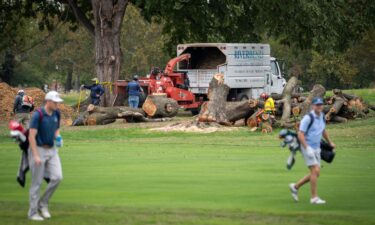 Golfers pass workers as trees are cut down at East Potomac Golf Links