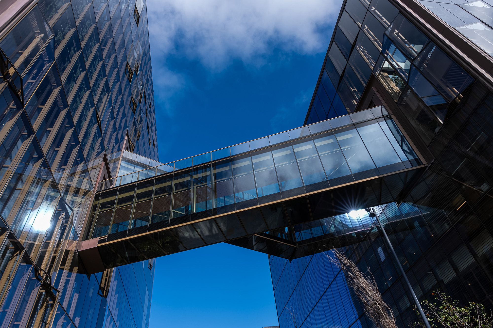 <i>David Paul Morris/Bloomberg/Getty Images via CNN Newsource</i><br/>OpenAI's headquarters in San Francisco
