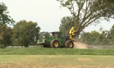 Crews remove trees near the East Potomac Golf Course in Washington