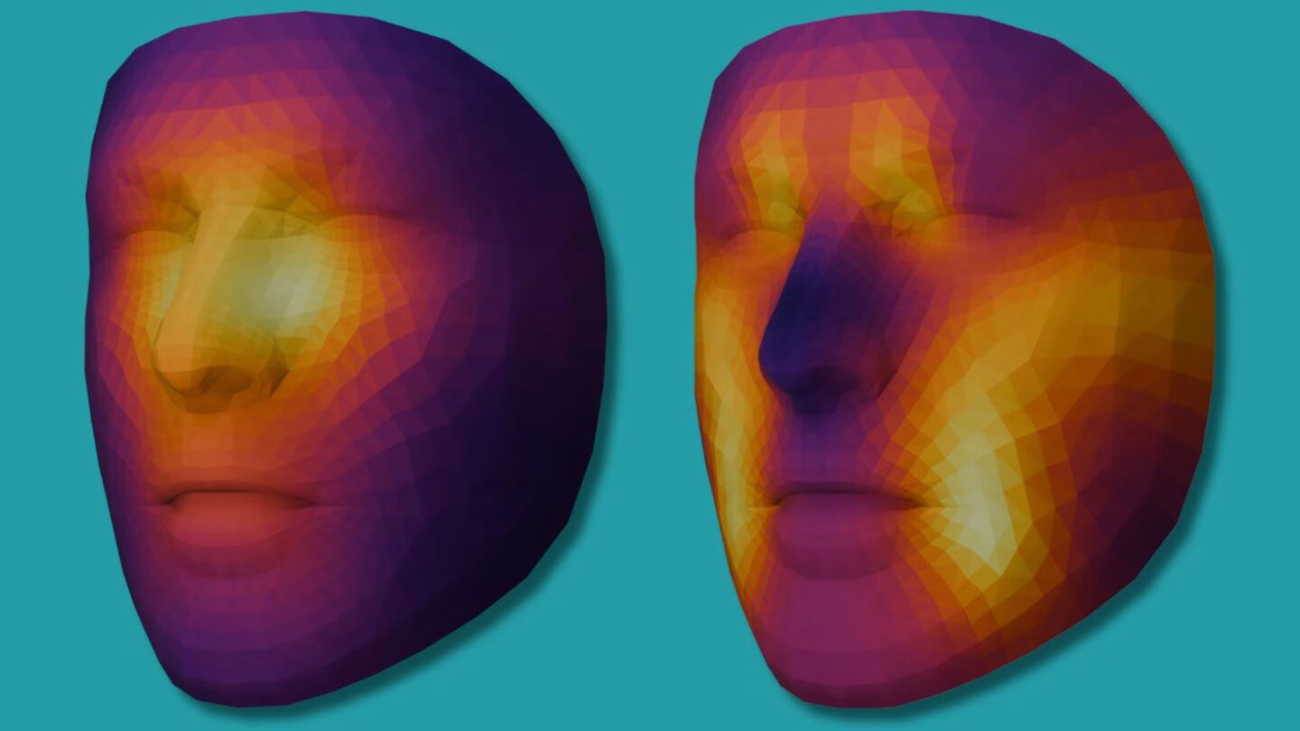 <i>Mass General Brigham via CNN Newsource</i><br/>The mortality risk prediction algorithm and the age estimation algorithm look at different parts of the face to make their assessments.