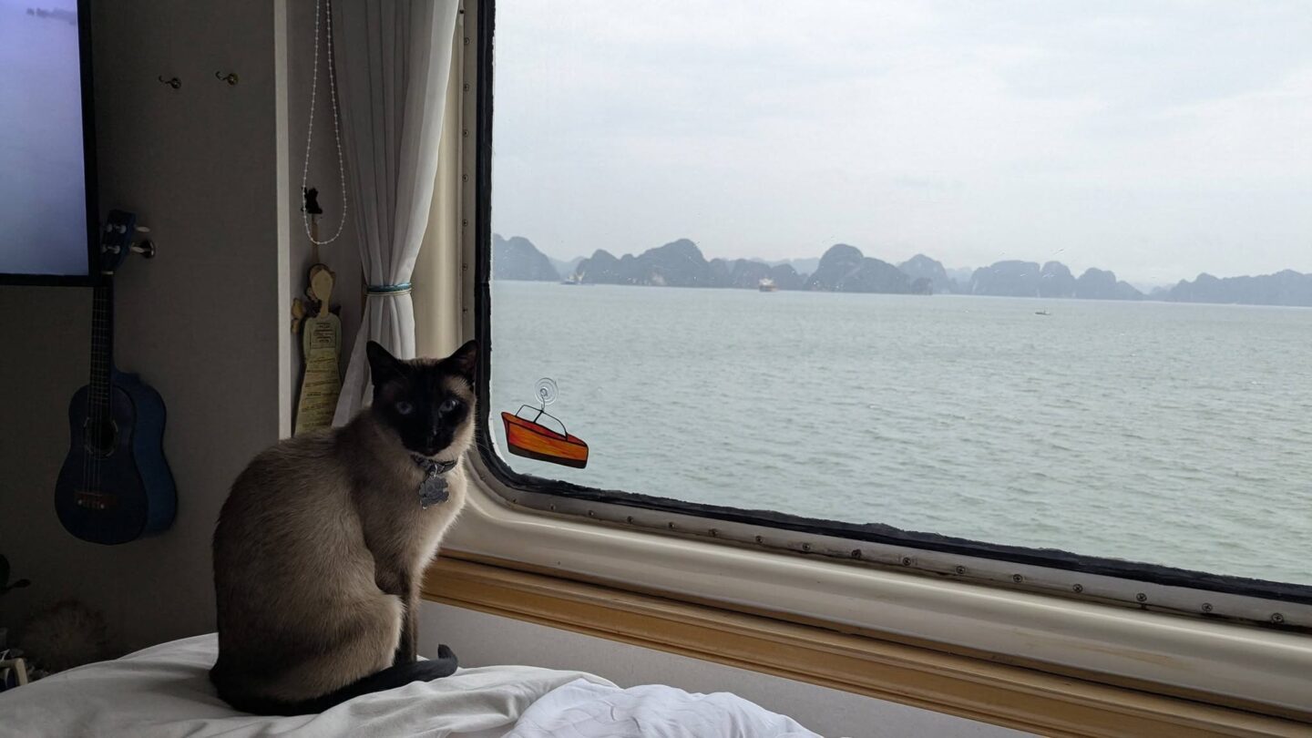 <i>Courtesy Holly Hennessy via CNN Newsource</i><br/>Holly Hennessy and her cat Captain have been living aboard the Odyssey since it departed in September 2024.