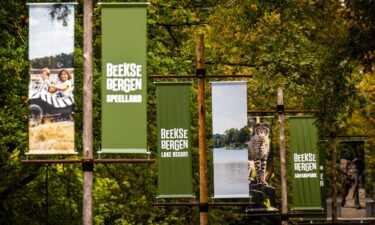 A zookeeper has died after being attacked by a big cat at Beekse Bergen safari park in the Netherlands.